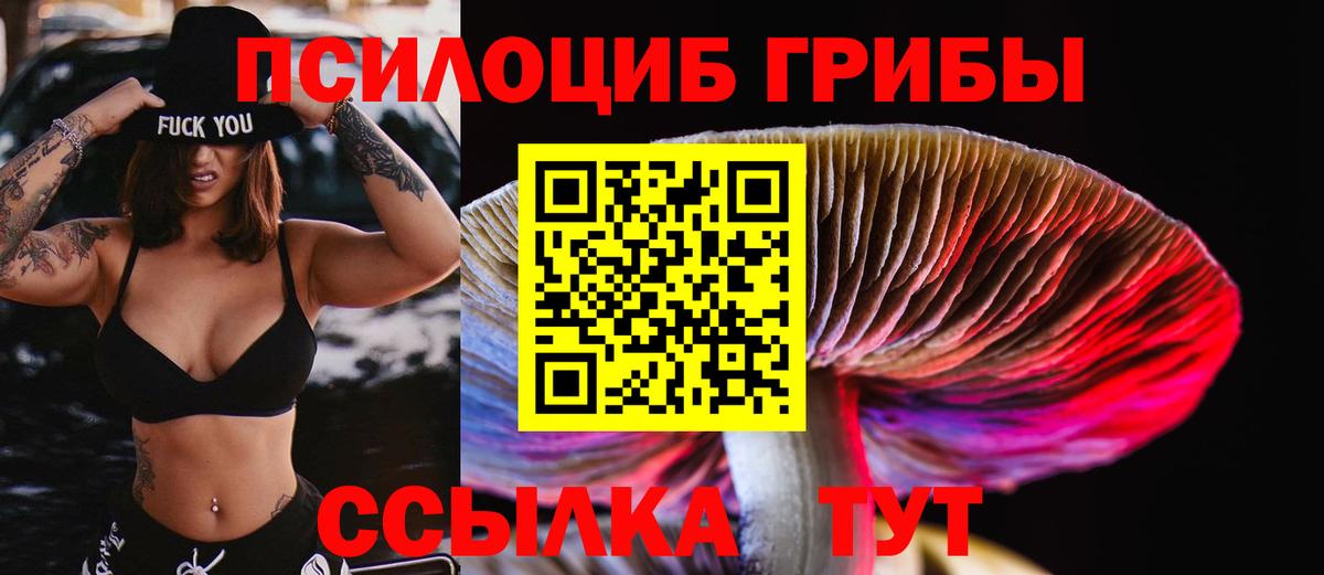 Псилоцибиновые грибы Psilocybine cubensis  Псилоцибиновые грибы ЛСД  Вход с VPN  купить наркоту  Дюртюли 